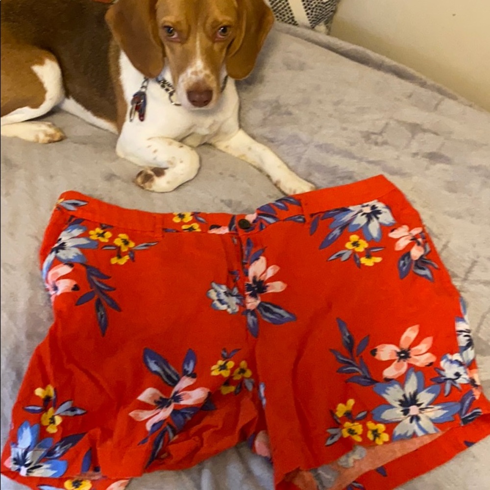 Old navy every day shorts